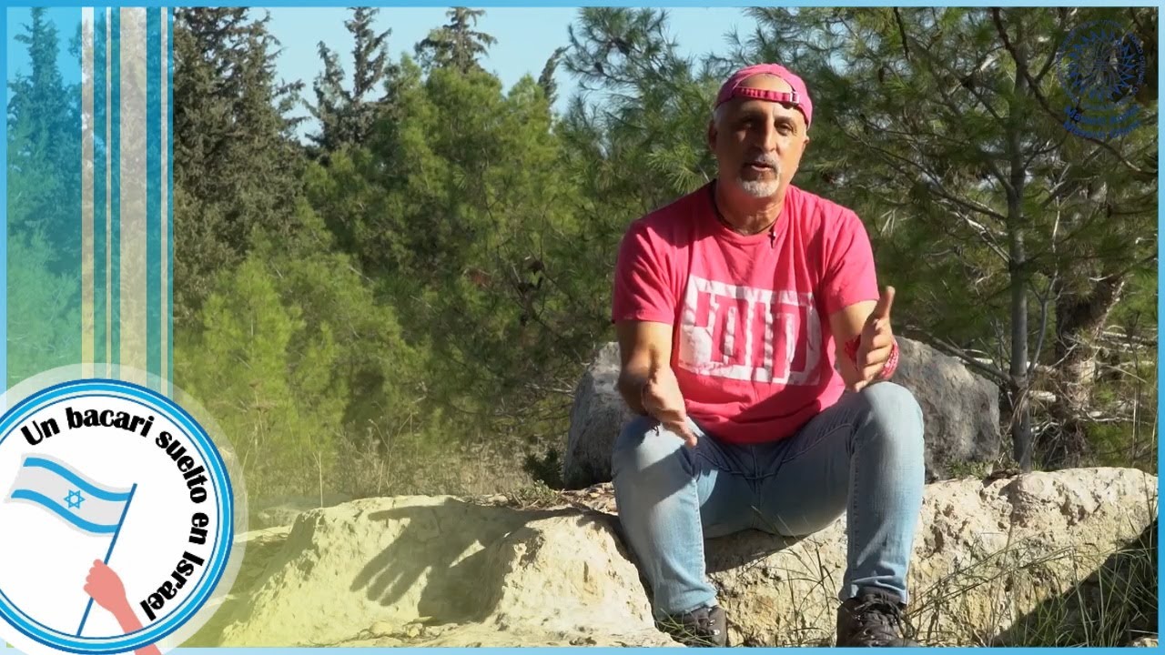 Los Macabeos