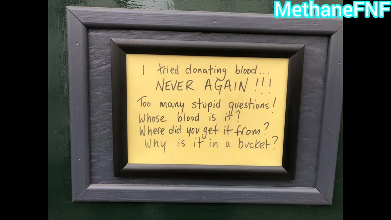 Microsoft Sam Reads Dumb and Weird Signs THE SIXTEENTH