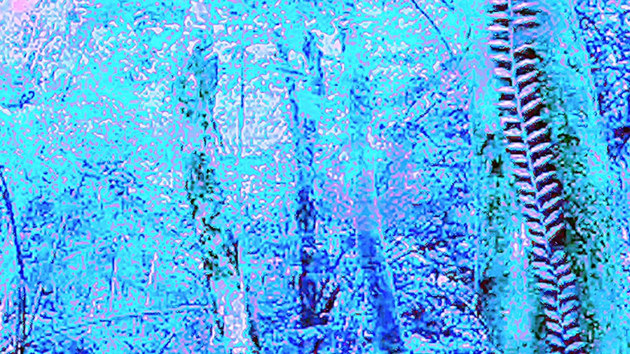 AYAHUASCA MURUI CULTURE AMAZON JUNGLE by David Leonardo Symphonic Poem Opus 3926.