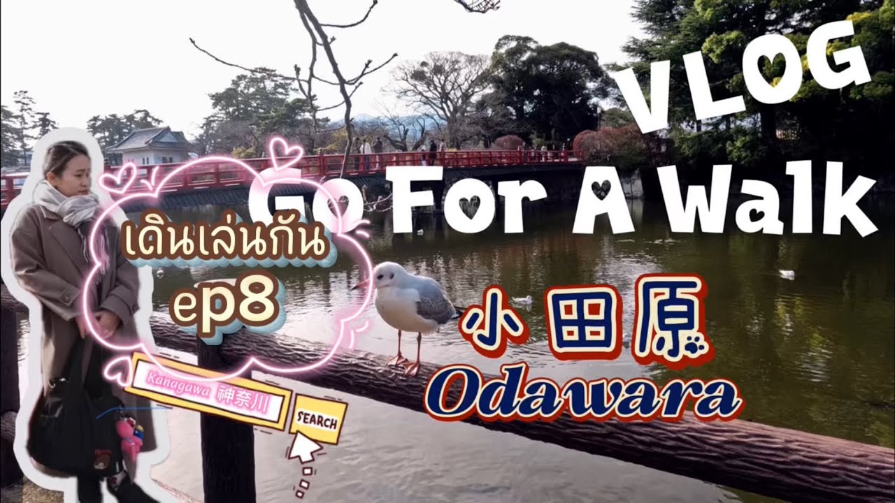 ไปเดินเล่น ที่ เมือง Odawara (小田原) วันสุดท้ายของปี2025 | Go For A Walk VLOG Ep.8