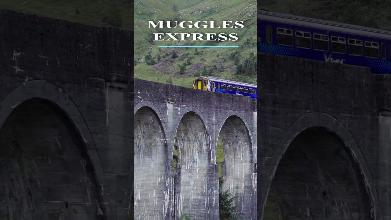 🚂 Hogwarts Express or Muggles Express?