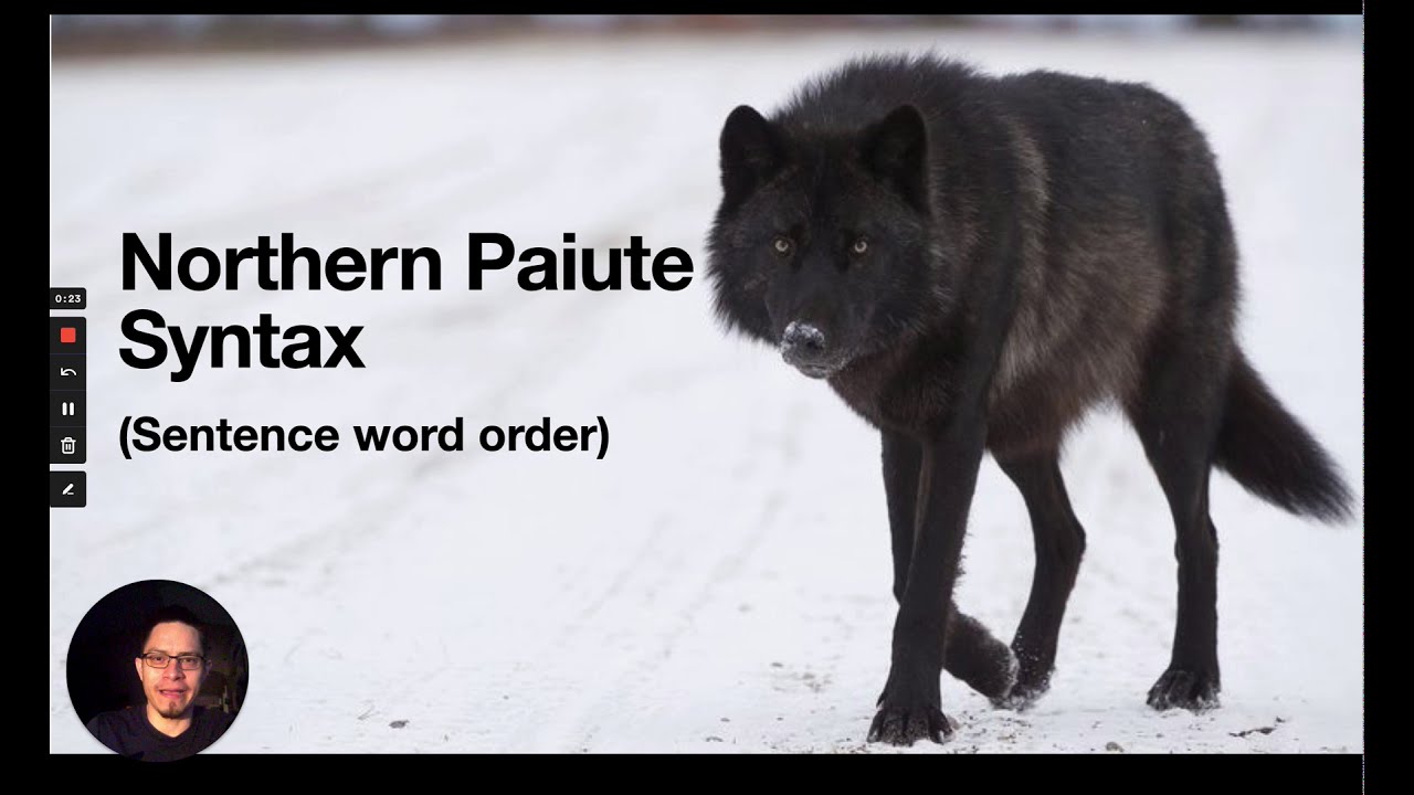 Northern Paiute: Basic Syntax