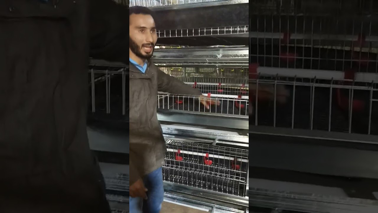 ١٨ نوفمبر ٢٠٢٤