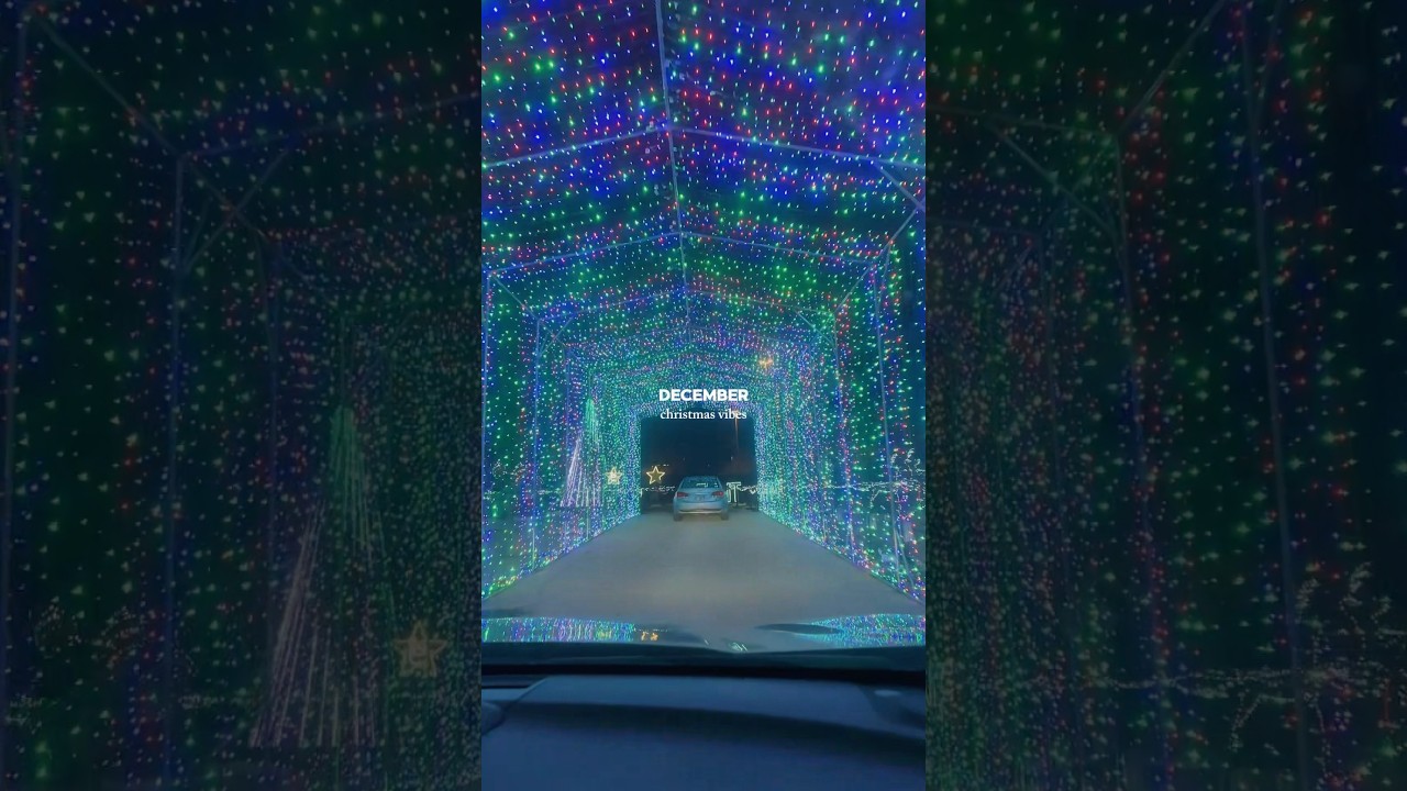 Drive Through Christmas Lights Chicago #christmaslights #chicago #drivethru