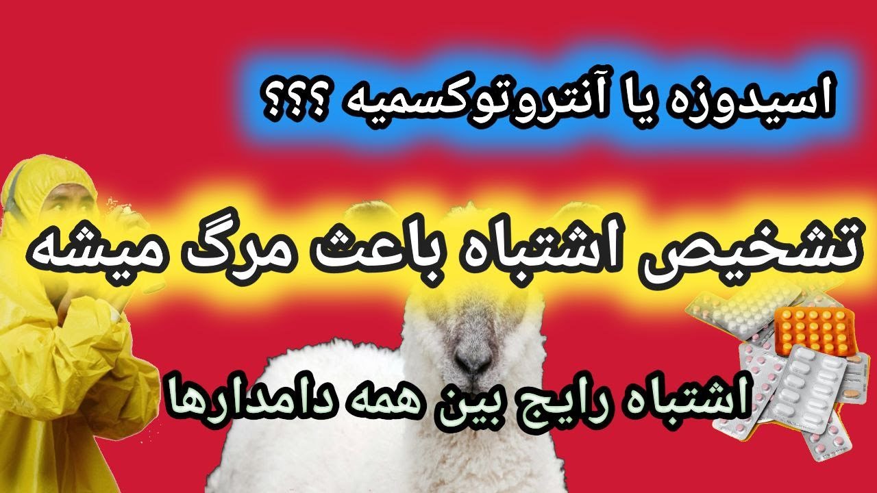 بیماری آنتروتوکسمی و بیماری اسیدوز در دام , بیشترین تلفات دامدار ها