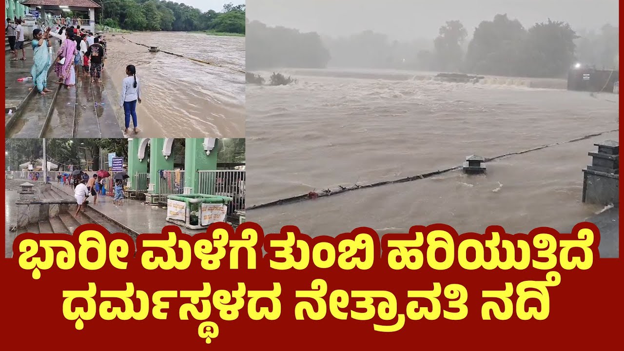 ಬೆಳ್ತಂಗಡಿ: ಭಾರೀ ಮಳೆಗೆ ತುಂಬಿ ಹರಿಯುತ್ತಿದೆ ಧರ್ಮಸ್ಥಳದ ನೇತ್ರಾವತಿ ನದಿ : Netravati River | udayavani news