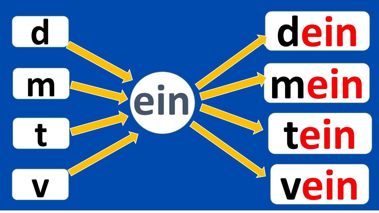 Lecture 10  : le son [ɛ̃] : ain, aim, ein, in, im, yn, un, um