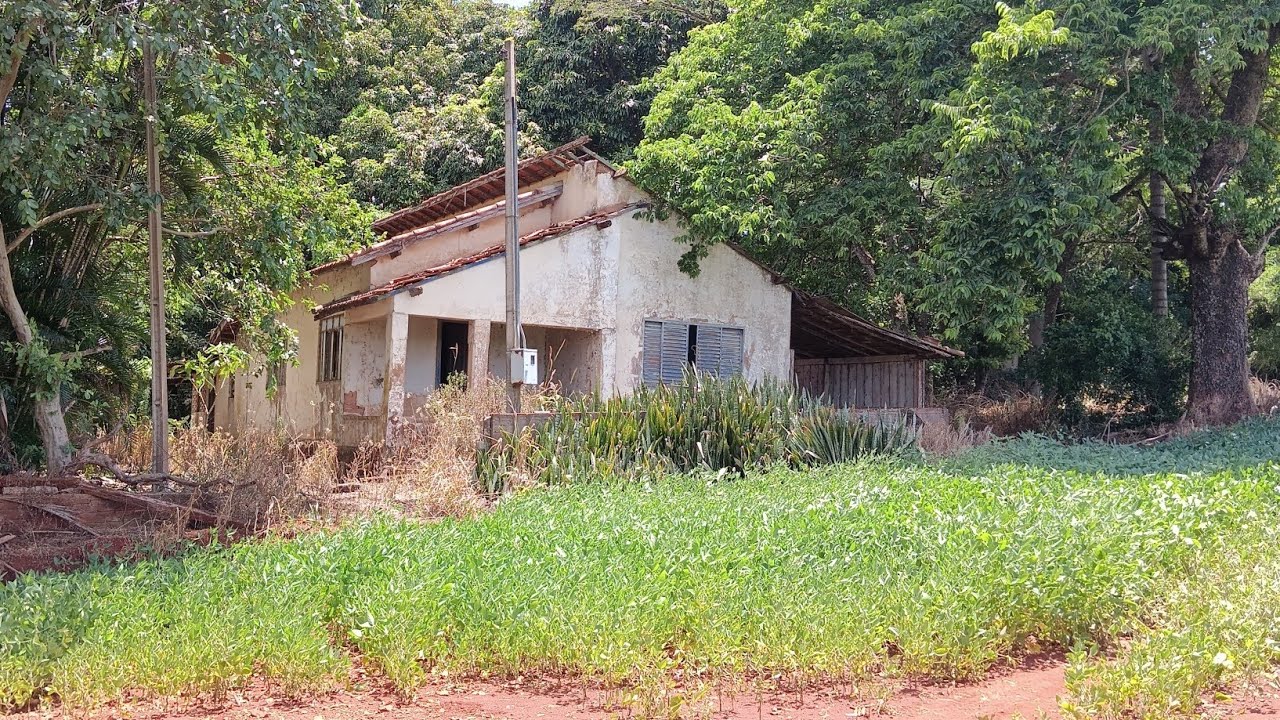 Por Amor ao Patrão Empregado, Perde Sua Própria Vida