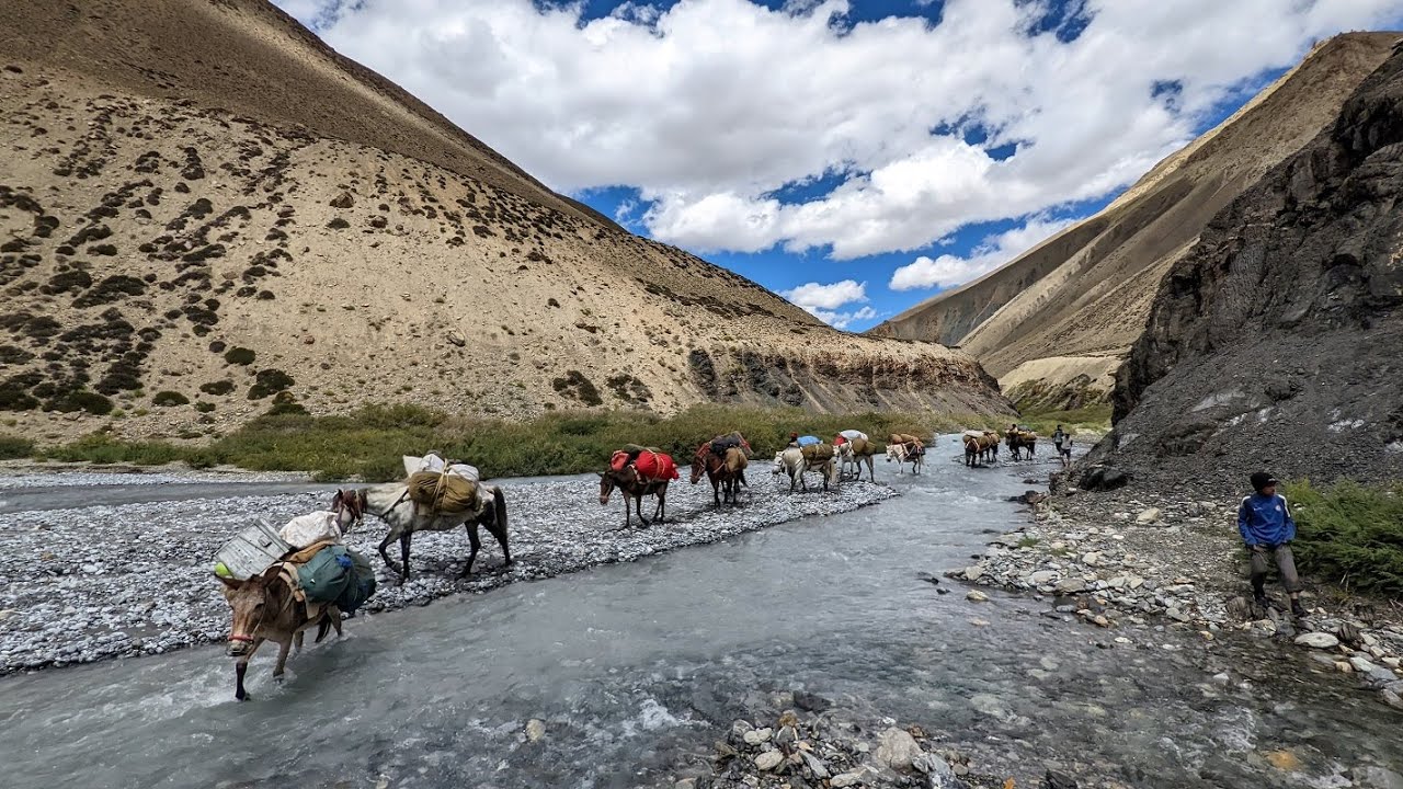 Zanskar Trek | Pt 3 - Three Passes from Zangla to Shade | Hemis National Park | Ladakh | India