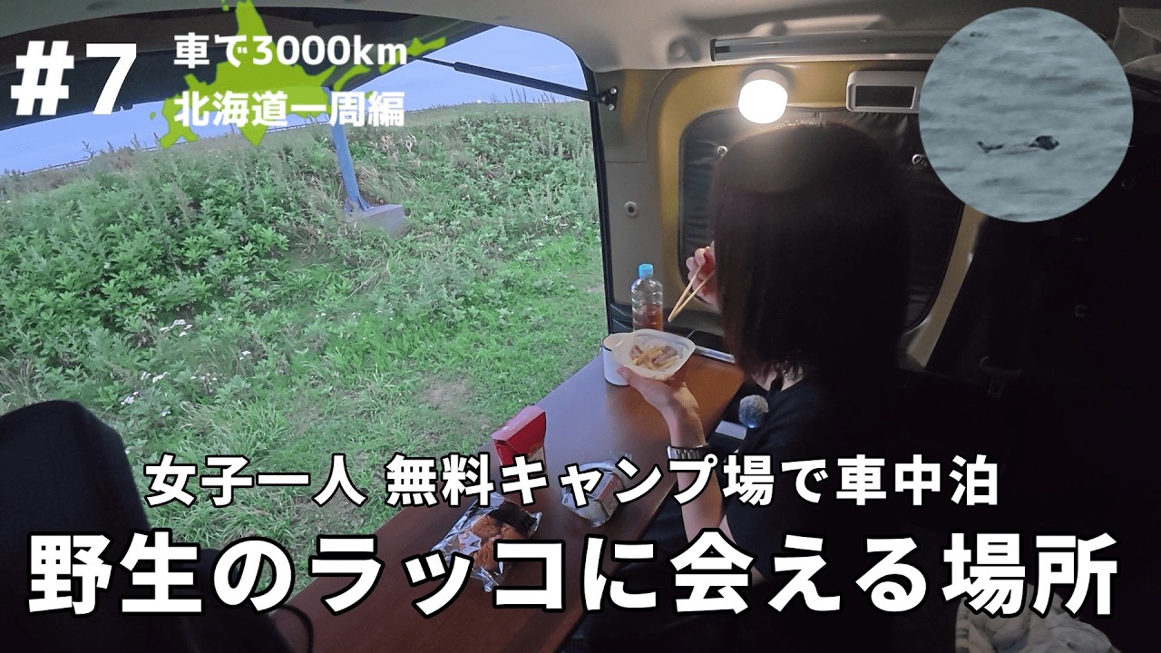 【車中泊女子】野生のラッコに会える霧多布岬に行ってみた /絶景の無料キャンプ場で車中泊【北海道一周#7】