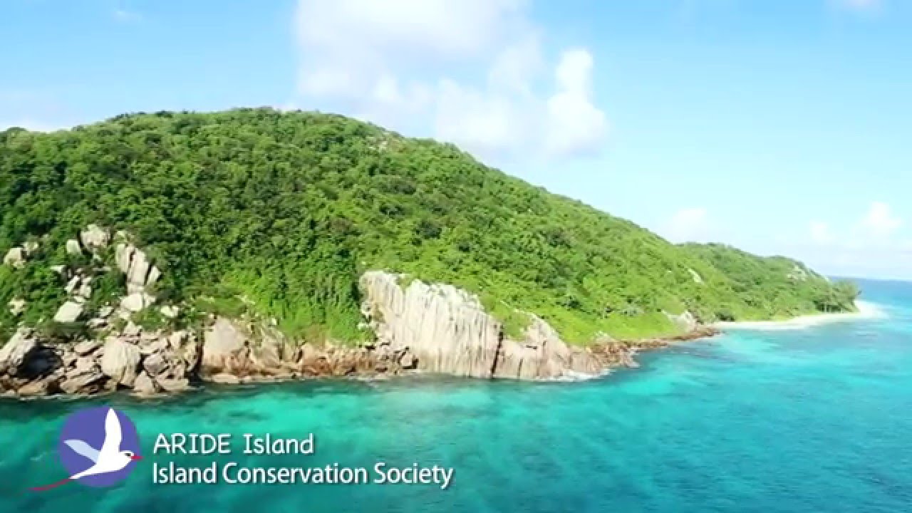 ARIDE Island Nature Reserve, Seychelles - Documentry Videos - Claire Obscuur