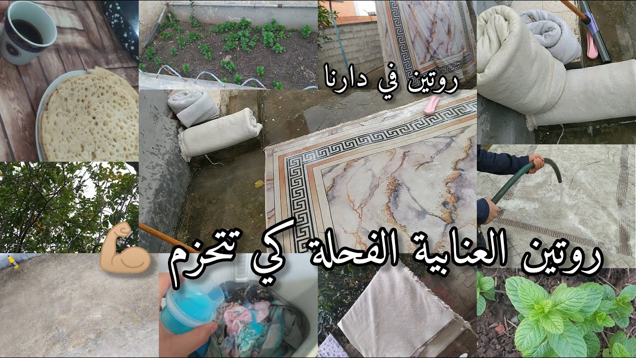 روتين الفحلة 🔥 طاقة ايجابية💪🏼بديت في داري و كملت في دارنا 🏠جولة في حدائق البيت🍋🌿#تنظيفات_رمضان