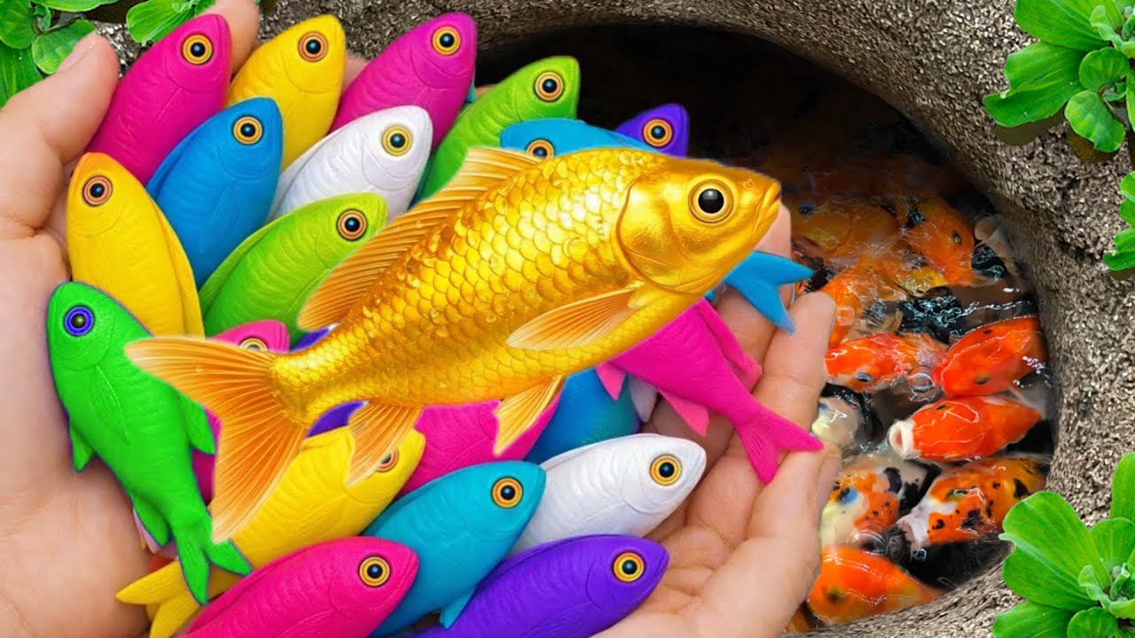 Catch beautiful aquarium fish in small pond: baby turtles, eels, pencil fish, cute fish, tadpoles 🐠🐬