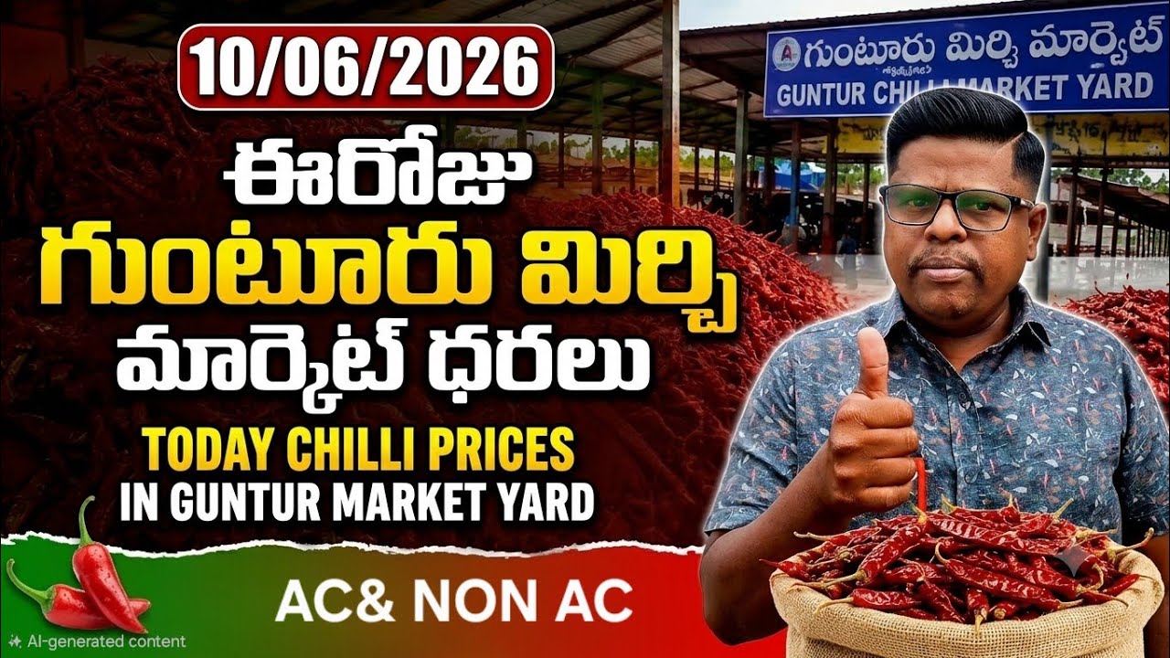 10 June 2026 GUNTUR MIRCHI MARKET RATES గుంటూరు మిర్చి మార్కెట్ ధరలు 