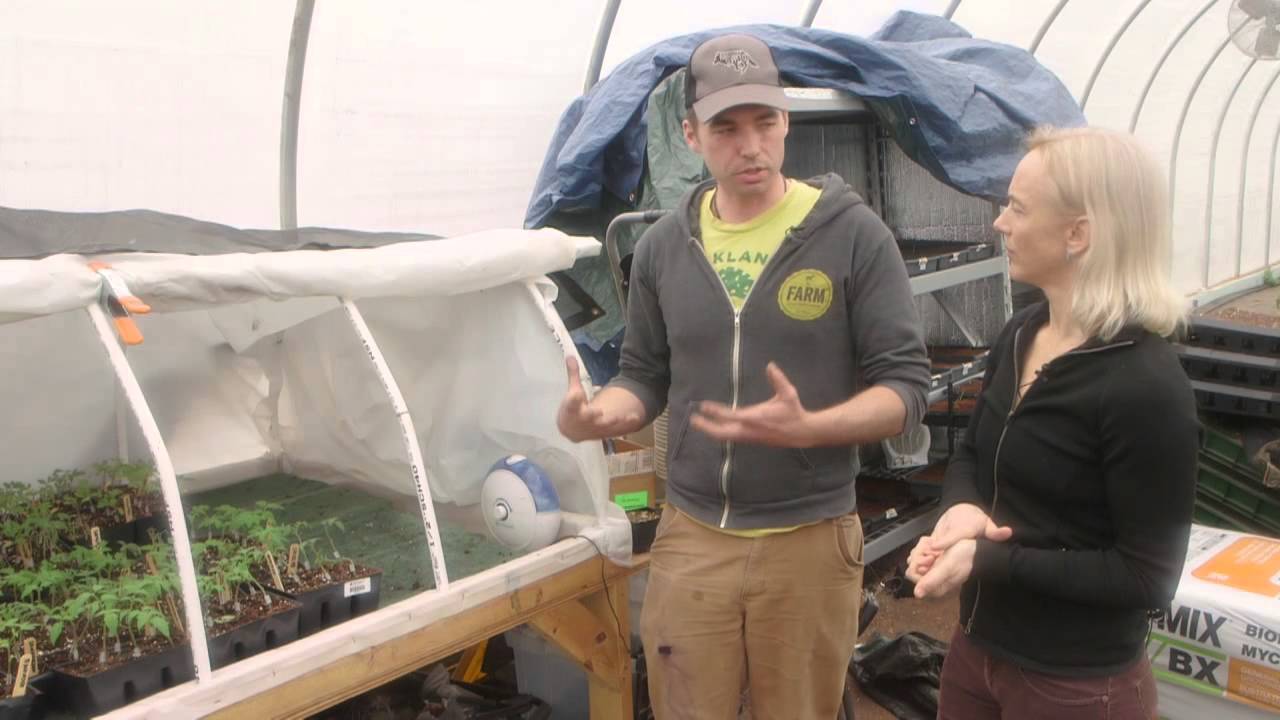 Propagation Series: Grafting