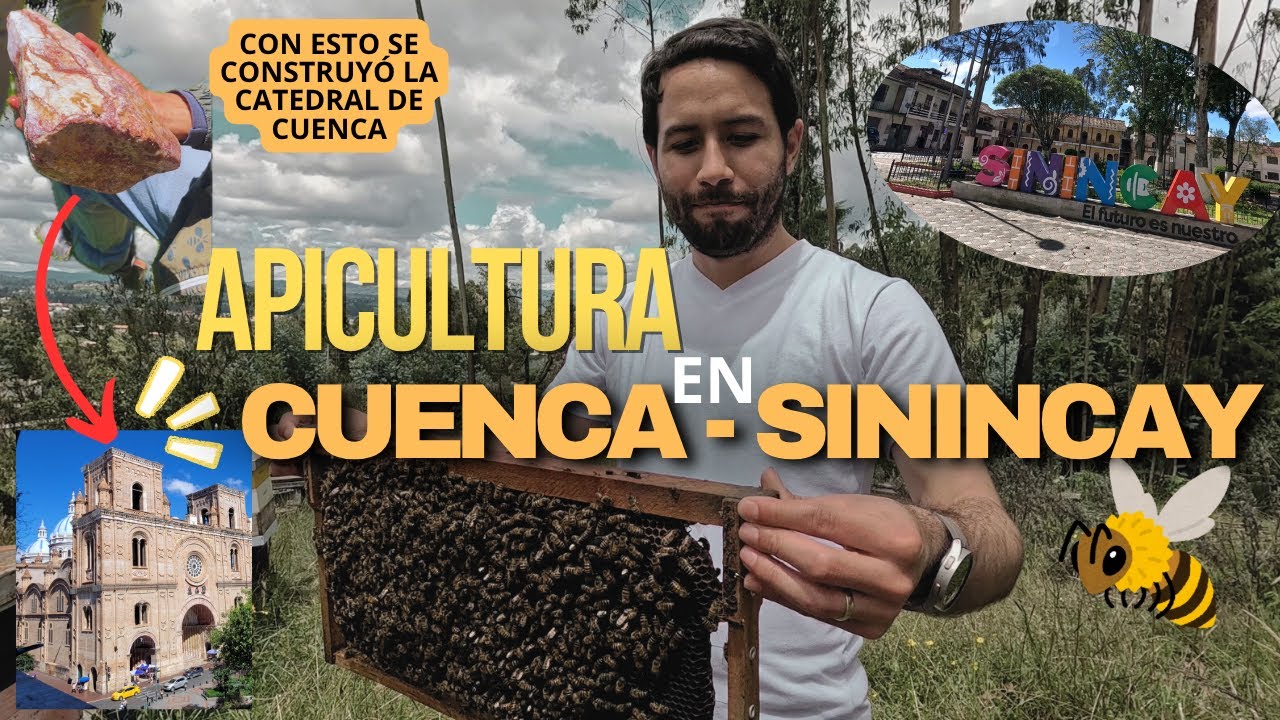🇪🇨 Cuenca rural: Apicultura en la parroquia de Sinincay