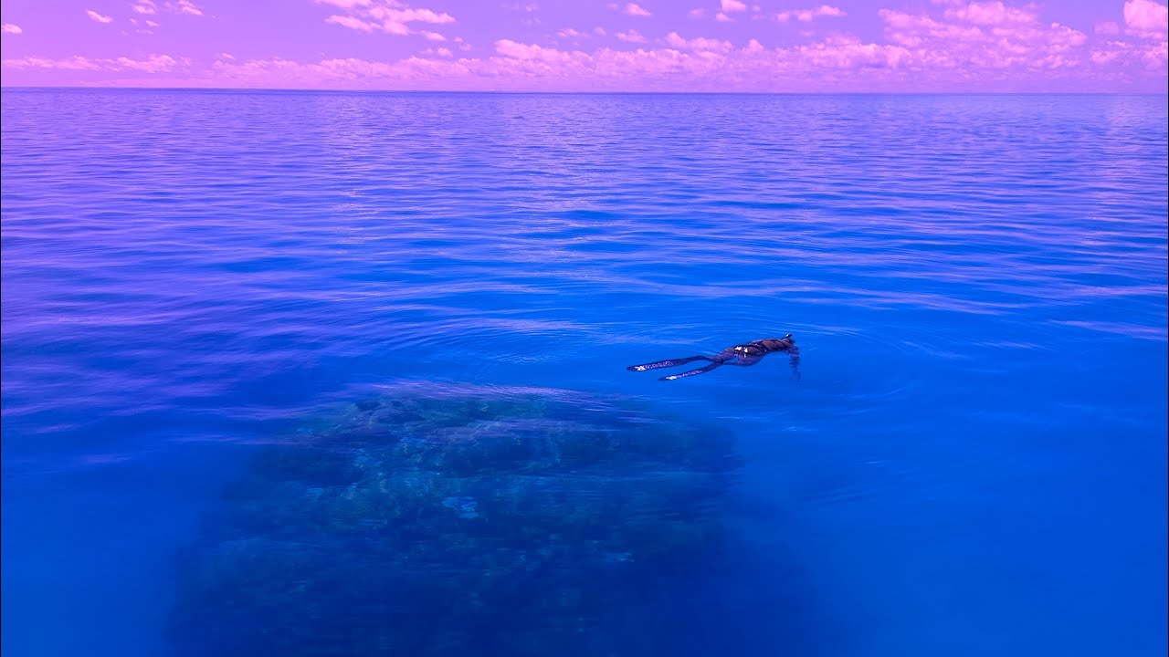 Spearfishing Bluewater Reefs off Lucinda QLD (Giant Crayfish))