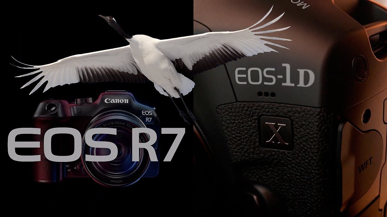 Canon 1DX ปี 2026 เน้นถ่ายนกยังน่าใช้หรือเปล่า / Mr Gabpa