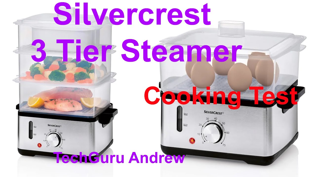 Silvercrest Steamer SDG 950 D4