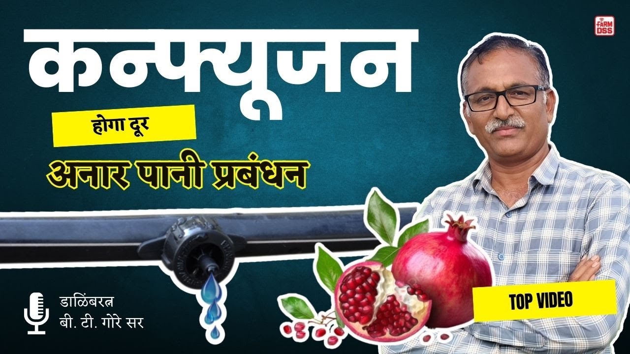 कन्फ्यूजन होगा दूर अनार पानी प्रबंधन @BTGore