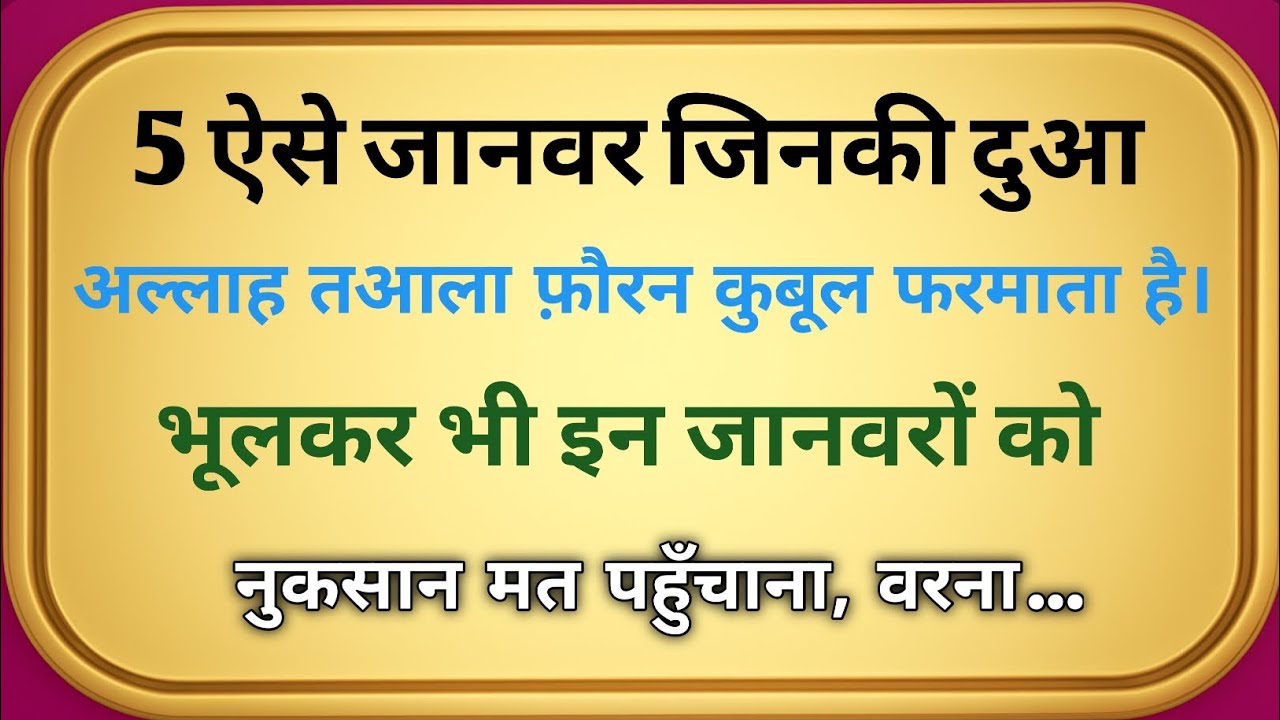 5 ऐसे जानवर जिनकी आह अल्लाह तक पहुँच जाती है | Mazloom Janwar Aur Allah Ka Insaf