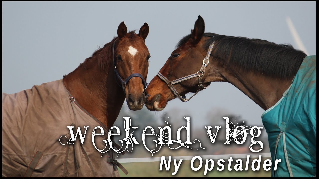 Weekend Vlog - Ny Opstalder (DEL 1)
