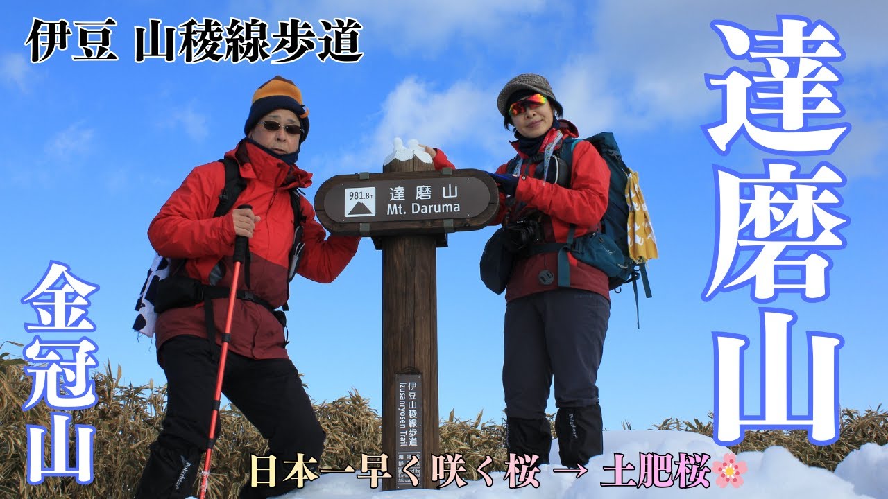 【 達磨山・金冠山 (伊豆) 】伊豆の達磨山・金冠山 (伊豆山稜線歩道)と土肥桜 へ行った過去映像です。 2025年 2月 8日と 2022年 2月 11日(大雪)映像をミックスしております。