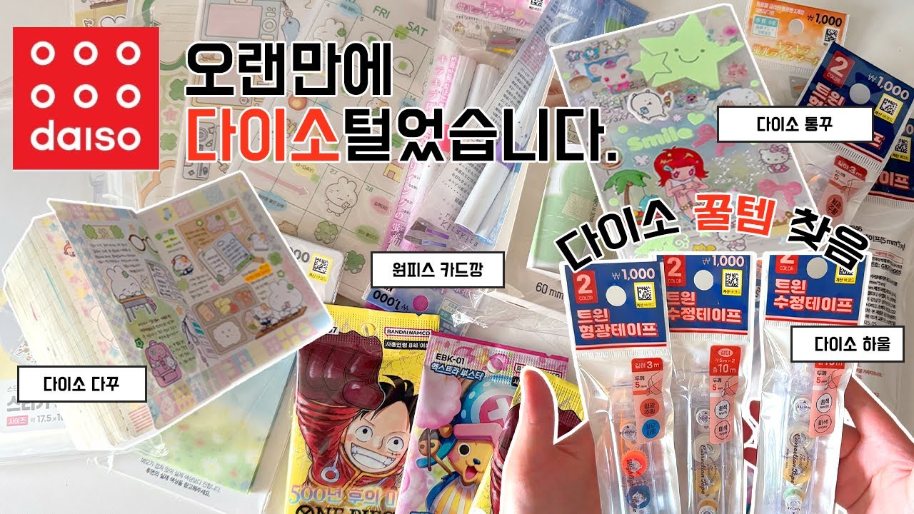 오랜만에 다이소 싹 ~ 털고 꿀템 발견! 이거 꼭 쟁이세요🔥 하울 + 다꾸 + 통꾸까지 꽉꽉 채워버렸다 ᕦ(ò_óˇ)ᕤ