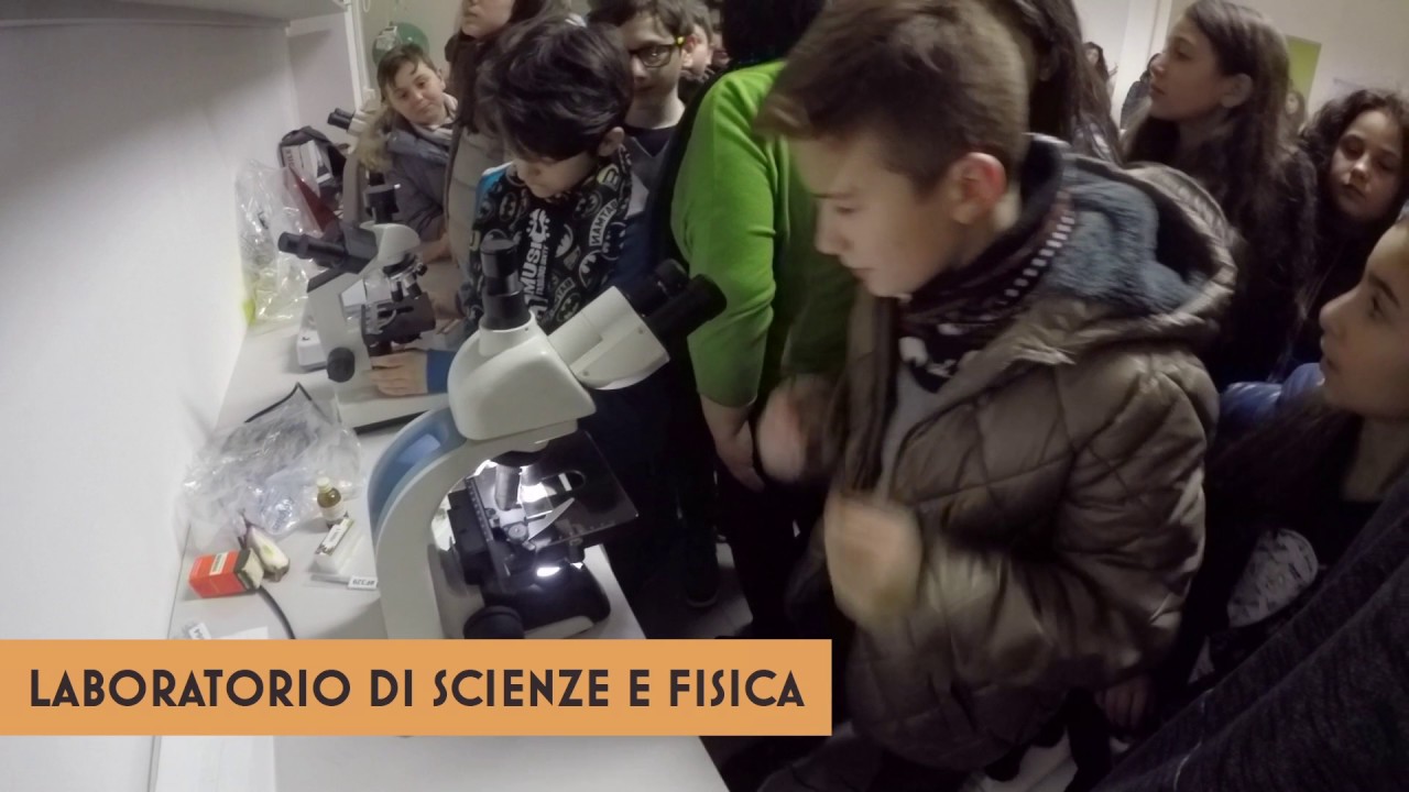 Istituto Comprensivo 