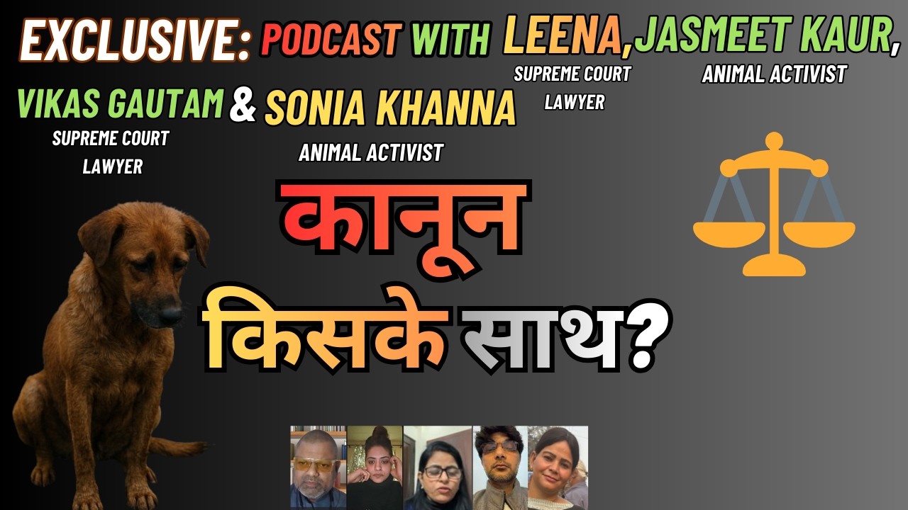 Dog Removal Controversy: Supreme Court वकीलों का बड़ा खुलासा | कानून किसके साथ? #8