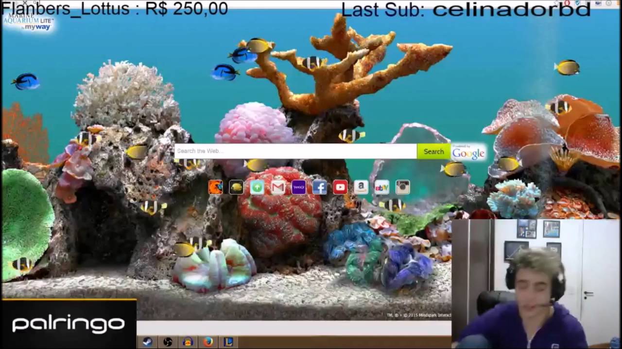 Yoda Stream - Lusty1 Pedindo Julia em namoro #RXILHA