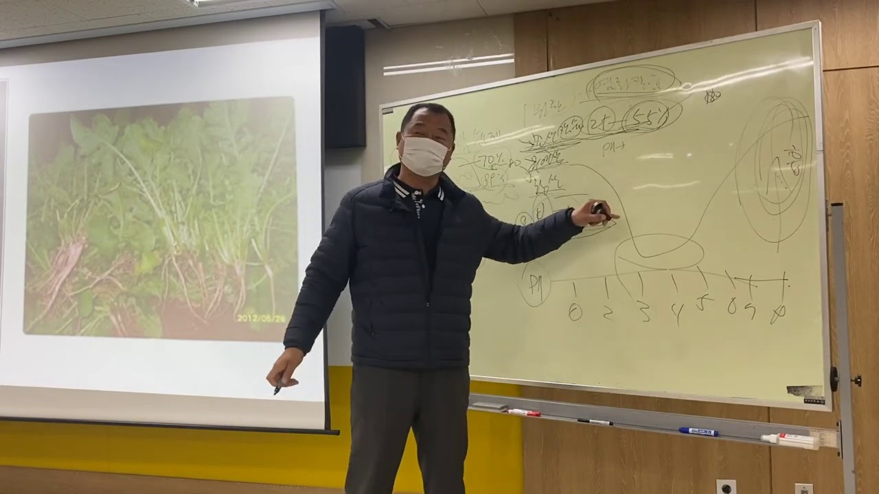 비료의기초 칼슘제라 이야기하는것들