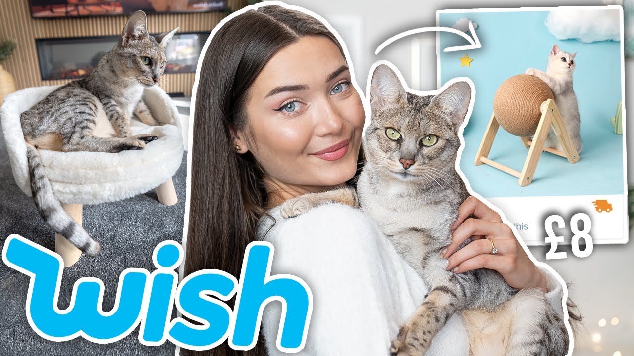 ПРОБУЕМ СТРАННЫЕ КОШАЧЬИ ГАДЖЕТЫ ОТ WISH!