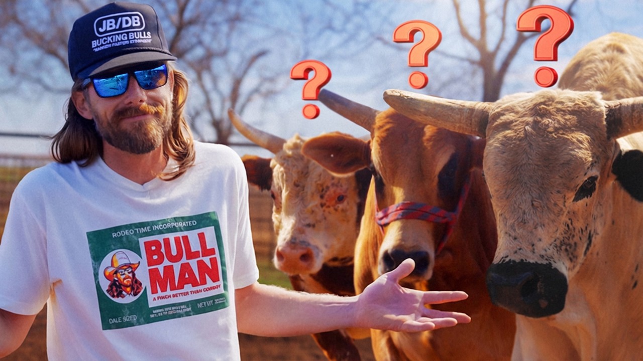 Which Bull Goes To The Sale Barn? Last Chance! Rodeo Time 482