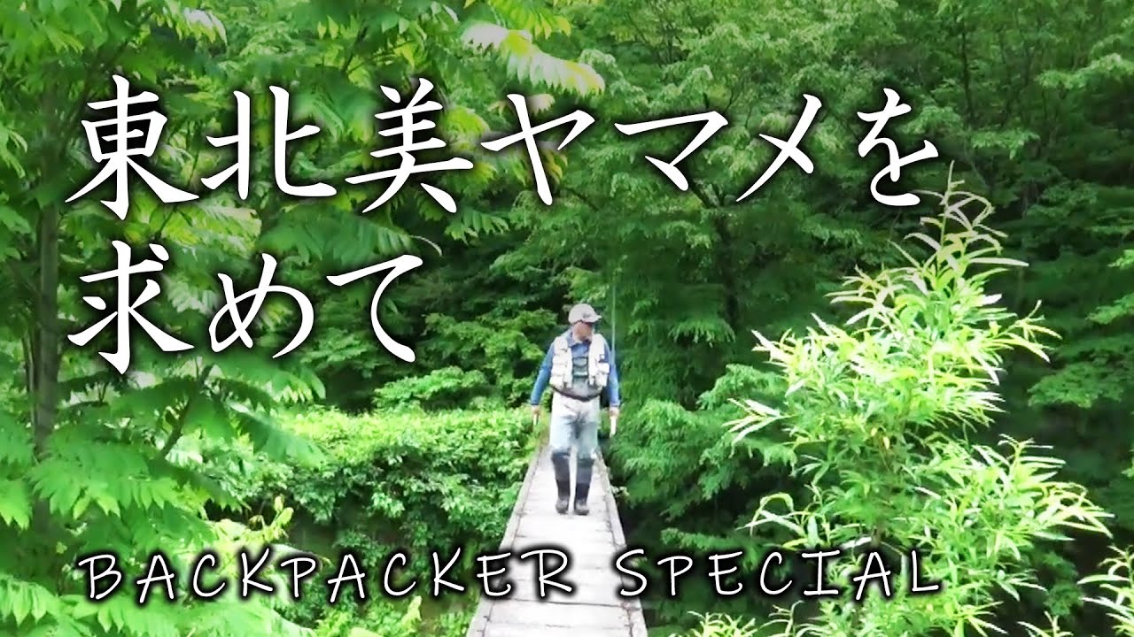 ヤマメはつらいよ。。。「東北美ヤマメ」を求めて渓から渓へ