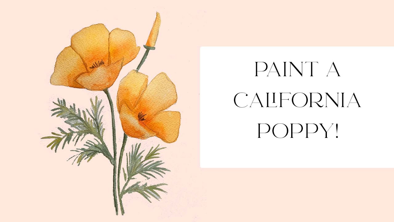 California Poppy Watercolor Tutorial
