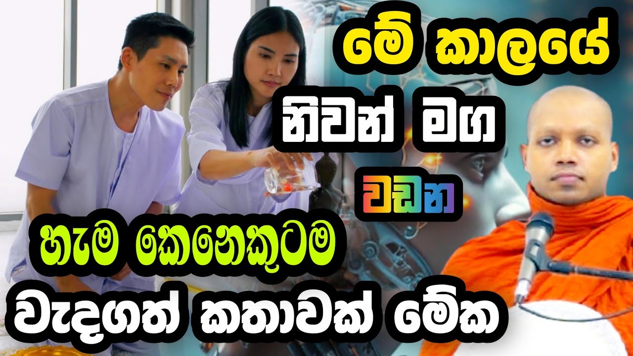 ප්‍රඥාව වඩන ආකාරය | හසලක සීලවිමල හිමි | Hasalaka Seelawimala Thero | bana