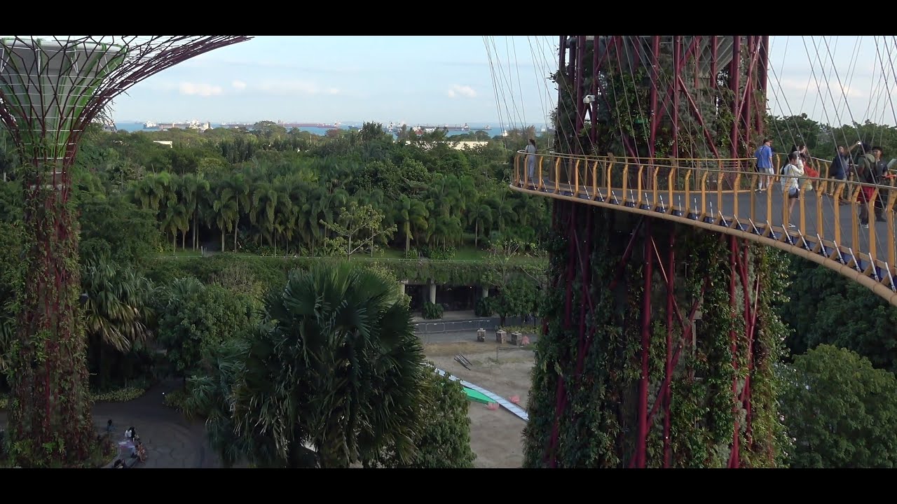 singapur -   metalowy ogród botaniczny