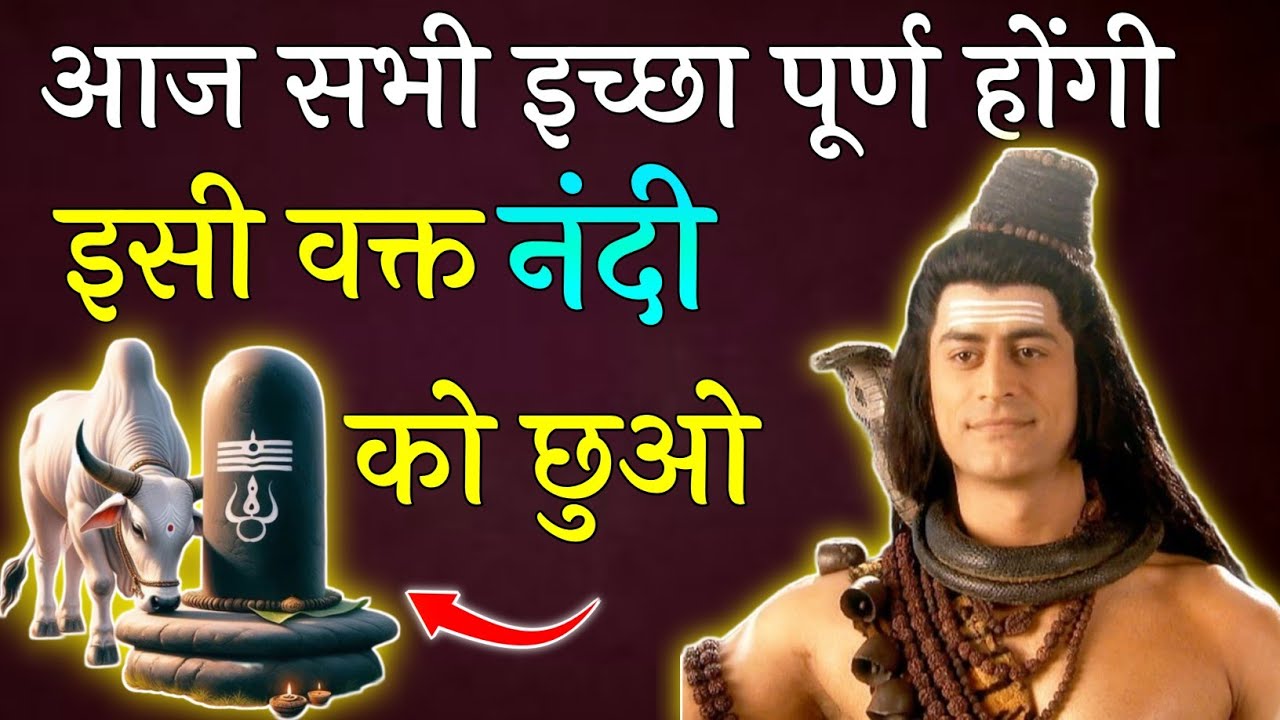 Mahadev Ji ka Sandesh 🌼🕉️ || आज सभी इच्छा पूर्ण होगी इसी वक्त नंदी को छुओ किस्मत बदल जायेगी || 