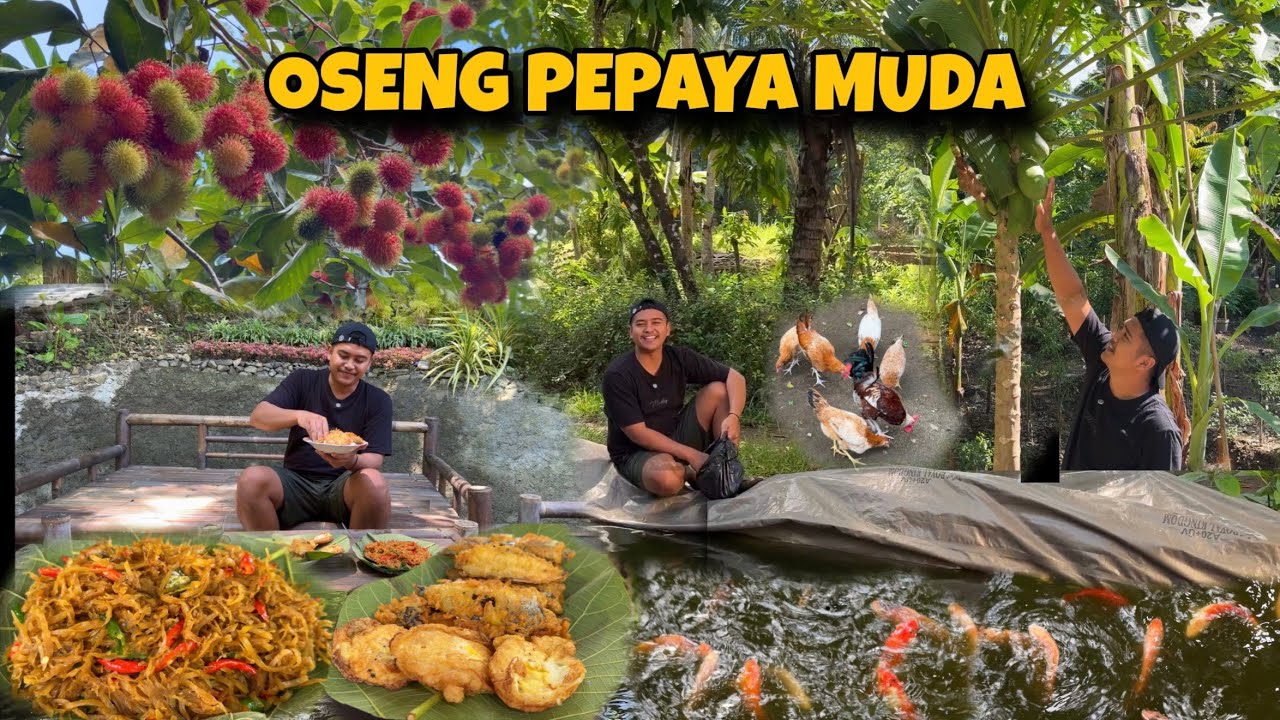 TUMIS PEPAYA MUDA HIDUP DI DESA YANG SYAHDU..😍