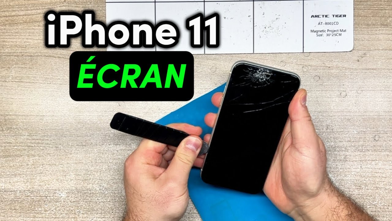 Je lui remplace son écran iPhone 11 tombé à plat contre la vitre au zoo 🦜🐻📱