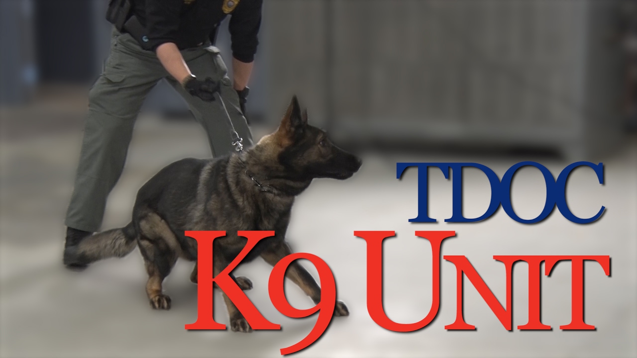 TDOC K9 Unit