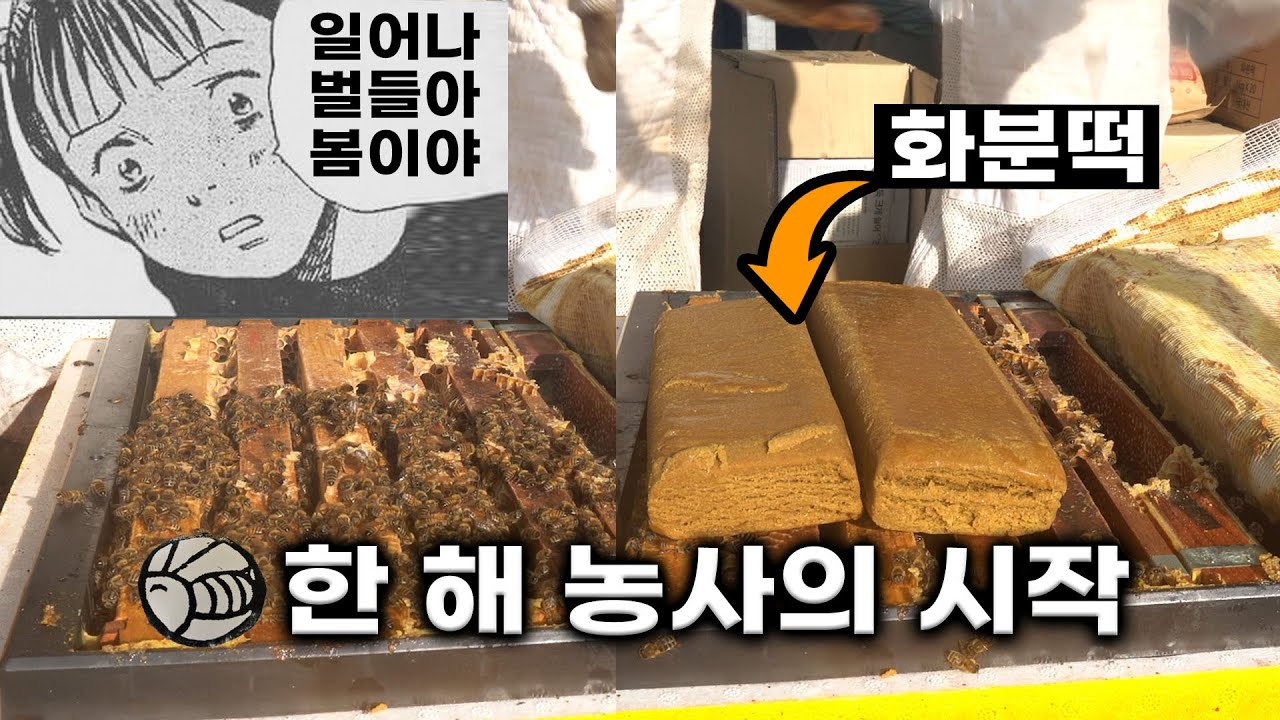 [양봉일기] #1.봄벌깨우기, 한 해 농사의 시작.