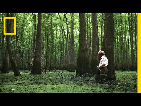 Portraits of Women Scientists | National Geographic