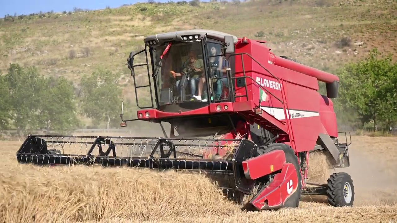 LAVERDA AL QUATTRO TECHNO Az. Agricola F. lli Gucciardo - Calatafimi Segesta - Raccolta grano 2024