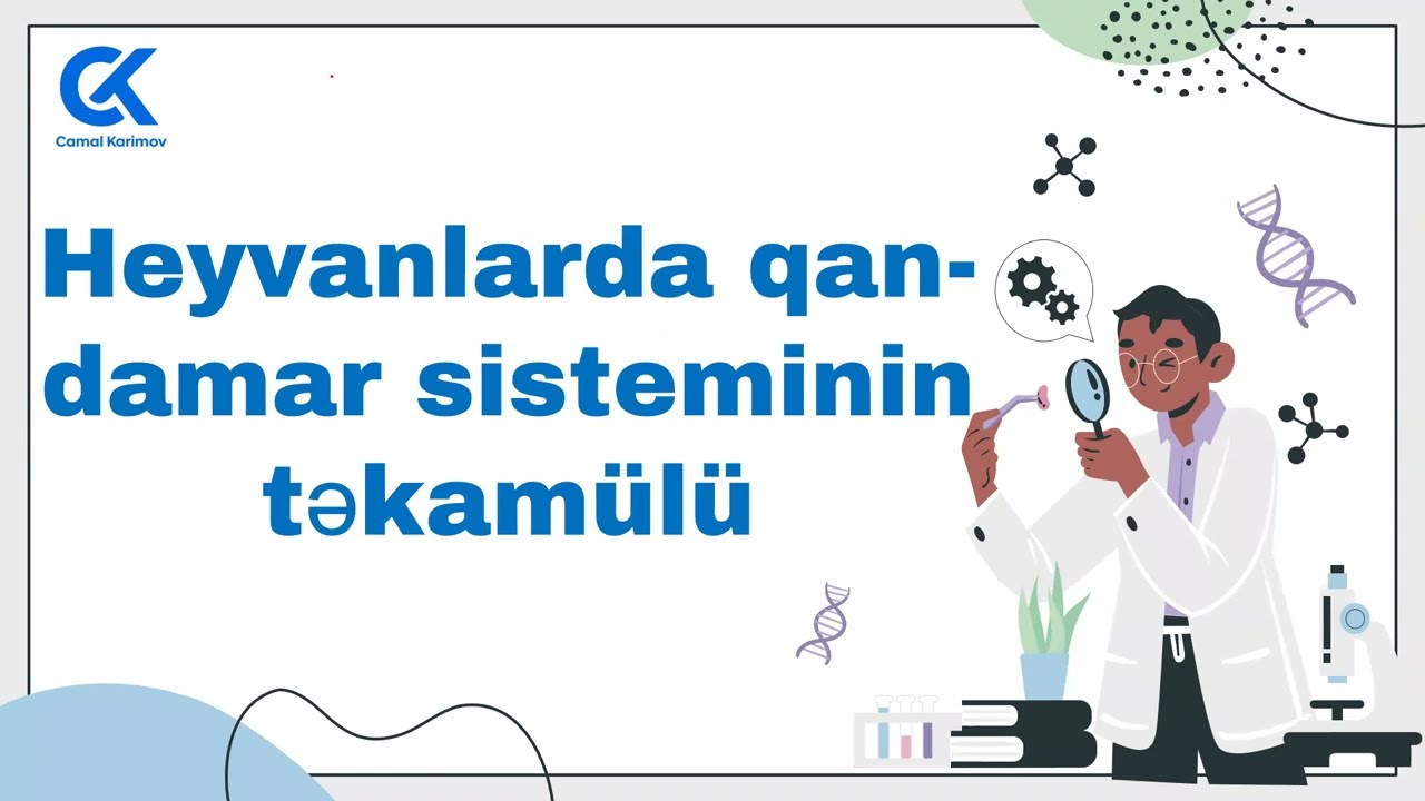 MIQ 2023 Müsahibə mövzusu: Heyvanlarda qan-damar sisteminin təkamülü.