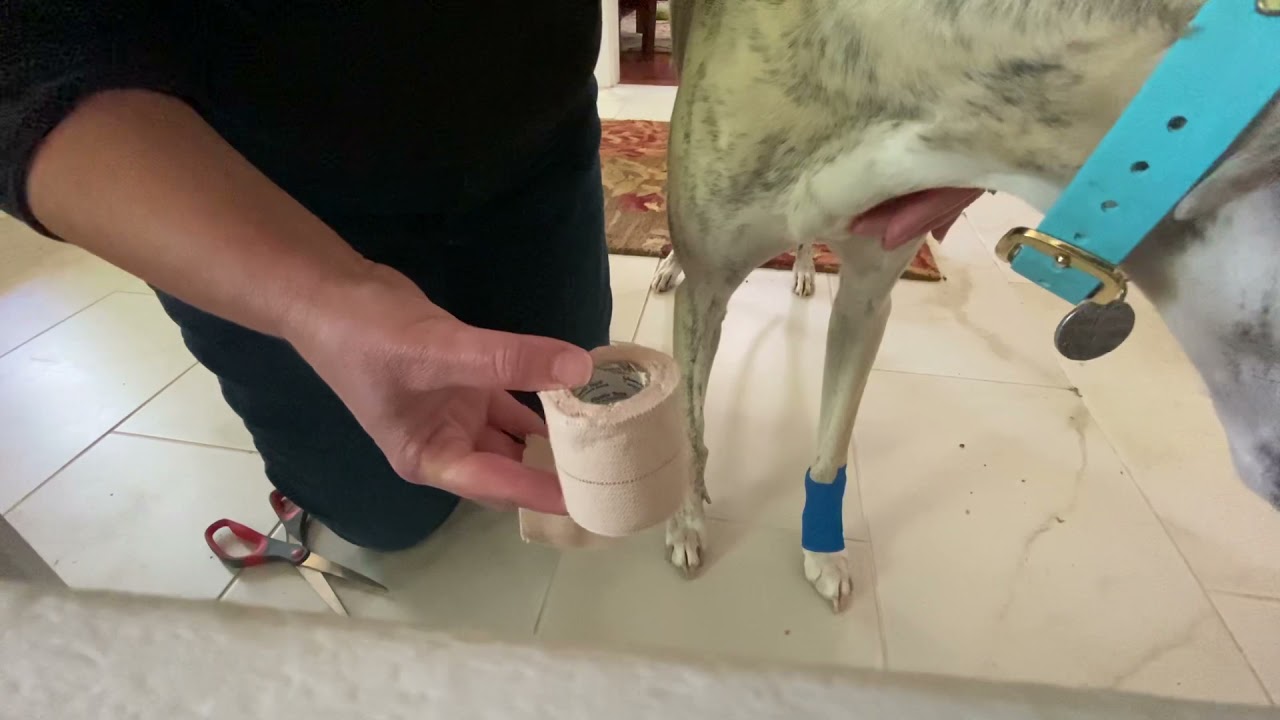 Wrapping a stopper pad and dewclaw
