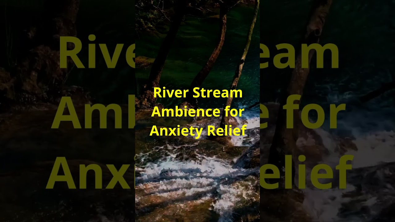 River Stream Ambience for Anxiety Relief    #relaxation #anxietyrelief  #peacefulsleep #calming