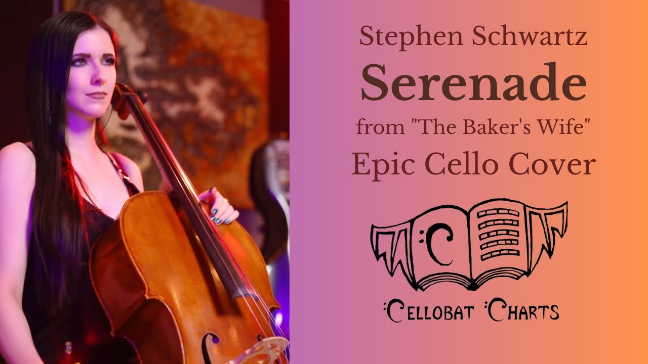 STEPHEN SCHWARTZ 