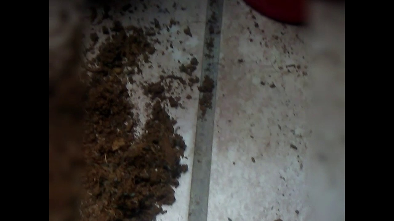 Cleaning up the grow room